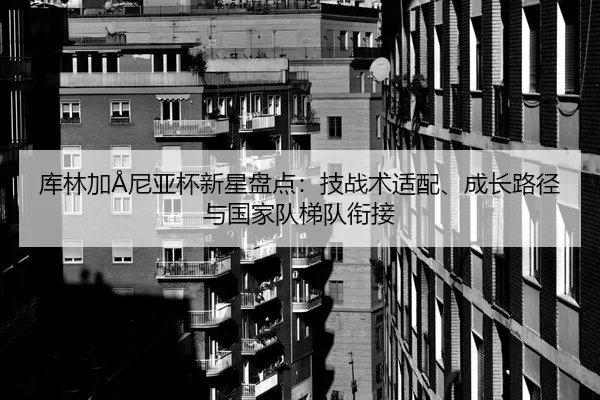 ku-lin-jia-ni-ya-bei-xin-xing-pan-dian-ji-zhan-shu-shi-pei-cheng-zhang-lu-jing-yu-guo-jia-dui-ti-dui-xian-jie-2-100.jpg