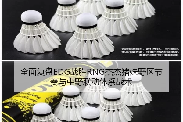 全面复盘EDG战胜RNG杰杰猪妹野区节奏与中野联动体系战术